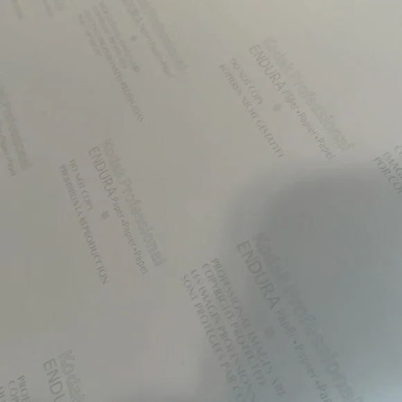 Floral Print - Picture 5 of 7